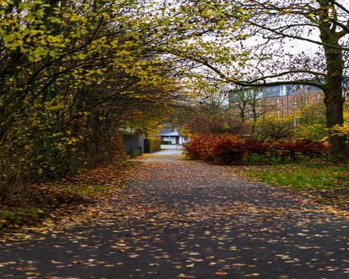 Quiet park path in City Park during autumn